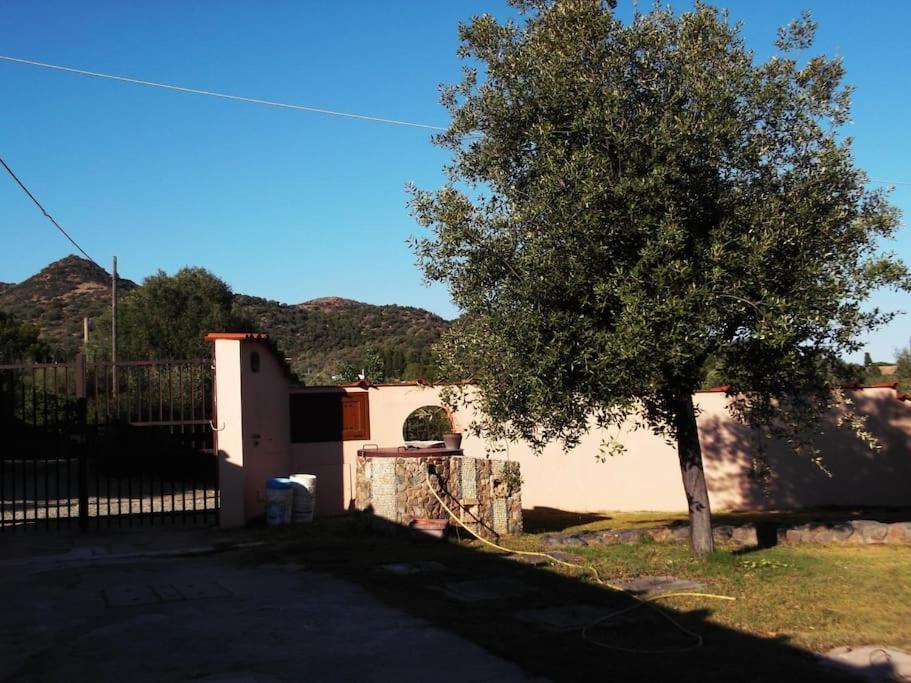Villa Gabriella 圣彼得罗镇 外观 照片